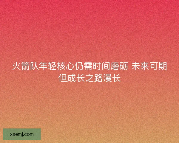 火箭队年轻核心仍需时间磨砺 未来可期但成长之路漫长